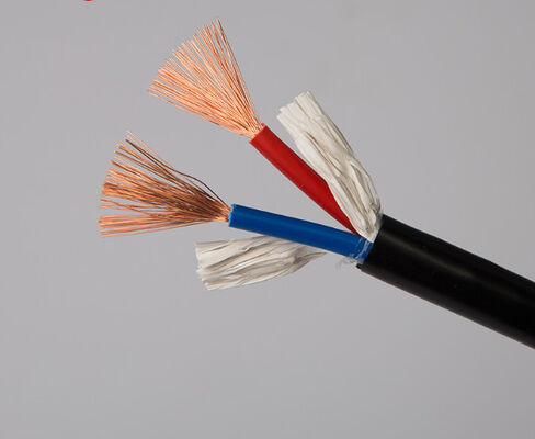 سلك الطاقة النحاسي 2 قلب RVV0.5 0.75 1.0 1.5 2.5 4 مربع مراقبة سلك غطاء ناعم