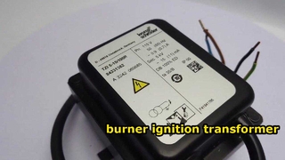 كروم شرودر TZI5-15/100R محول الإشعال 5 كيلو فولت — عرض المنتجات